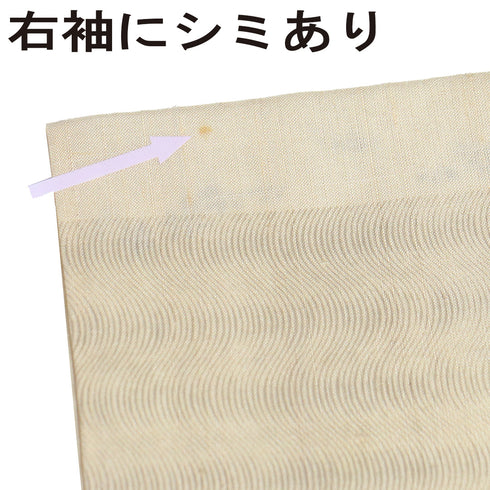 小紋 リサイクル 夏着物 身丈173.3cm 裄70.4cm 夏物 小花 エ霞 薄物 ベージュ LLサイズ カジュアル 不明 広衿 Aランク