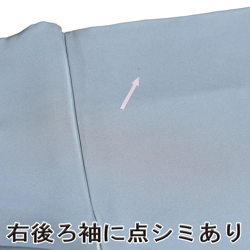 色留袖 リサイクル 身丈171cm 裄66.8cm 袷 デザイン青海波に華紋柄 金駒刺繍 箔 ブルー LLサイズ セミフォーマル 一つ紋 正絹 広衿 Aランク