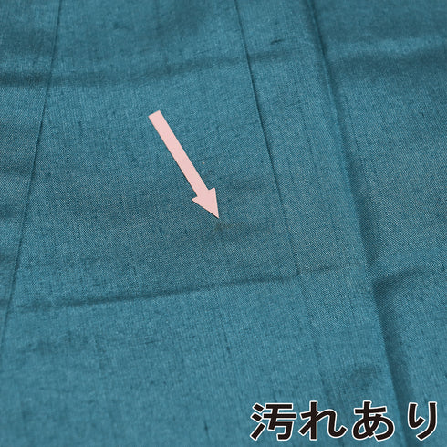 付下げ リサイクル 身丈147.5cm 裄63.8cm 袷 結城紬 五月みどりプロデュース 花柄 ブルー SSサイズ お洒落 正絹 広衿 Sランク