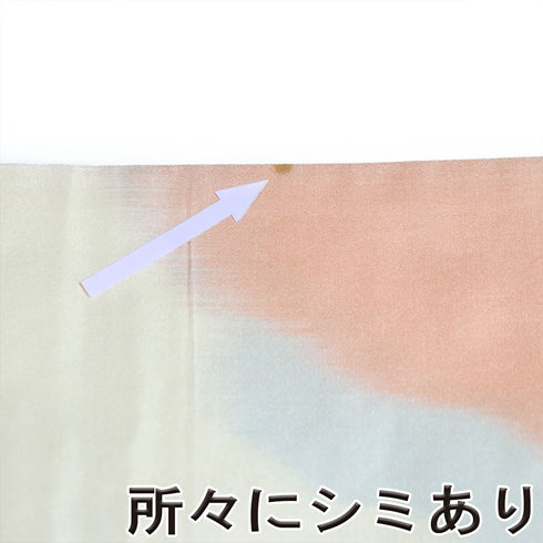 袋帯 リサイクル 帯丈420cm 六通 杜若に花柄 刺繍 ピンク Sサイズ 正絹 Sランク フォーマル