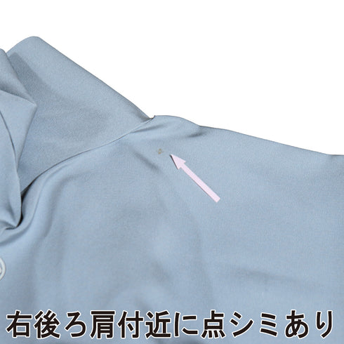 色留袖 リサイクル 身丈171cm 裄66.8cm 袷 デザイン青海波に華紋柄 金駒刺繍 箔 ブルー LLサイズ セミフォーマル 一つ紋 正絹 広衿 Aランク