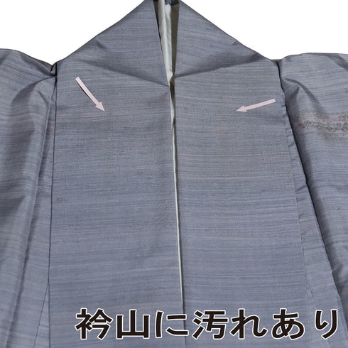 訪問着 リサイクル 身丈167.8cm 裄64.8cm 袷 紬 若干ゆったりサイズ 鳳凰柄 花柄 ブルー LLサイズ お洒落 正絹 広衿 Aランク