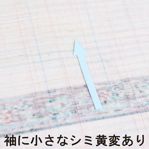 紬 リサイクル 身丈162.2cm 裄65cm 袷 花柄 アイボリー Lサイズ お洒落 カジュアル 正絹 広衿 Sランク