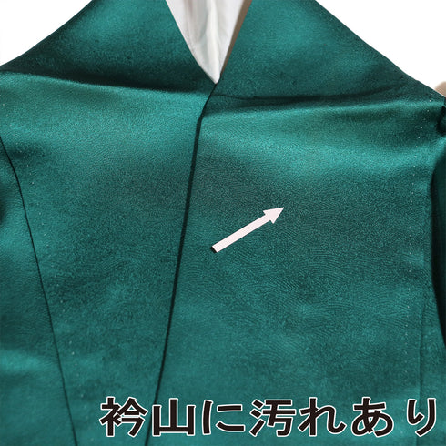 訪問着 リサイクル 身丈162.7cm 裄68.4cm 袷 華文柄 花唐草柄 箔 地紋 グリーン Lサイズ セミフォーマル 正絹 広衿 Sランク