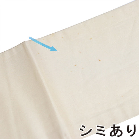 名古屋帯 リサイクル 帯丈355cm 六通 花柄 蝶柄 刺繍 ベージュ Sサイズ 正絹 Aランク お洒落