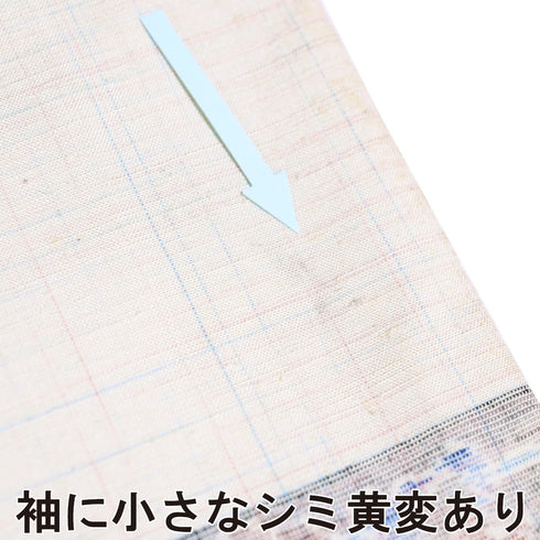 紬 リサイクル 身丈162.2cm 裄65cm 袷 花柄 アイボリー Lサイズ お洒落 カジュアル 正絹 広衿 Sランク