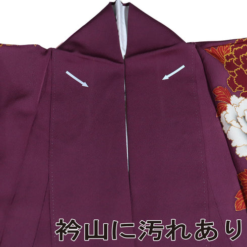 訪問着 リサイクル 身丈154cm 裄65.2cm 袷 牡丹柄 部分刺繍 箔加工 パープル Sサイズ セミフォーマル お洒落 正絹 広衿 Aランク