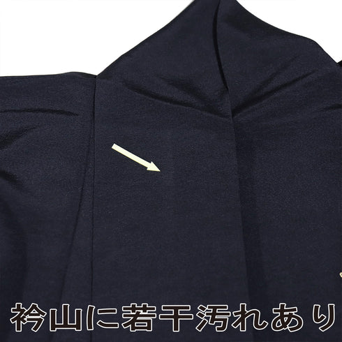 訪問着 リサイクル 身丈168.3cm 裄67cm 袷 紅葉や菊柄 箔 ネイビー LLサイズ お洒落 不明 広衿 Sランク