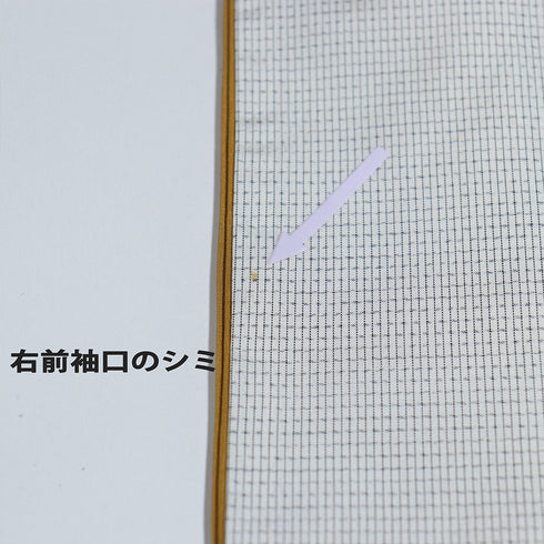 付下げ リサイクル 身丈167cm 裄63.2cm 袷 大島紬 遠山樹林風景柄 晃生 ホワイト LLサイズ お洒落 落款 正絹 広衿 Aランク