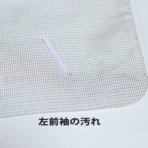 付下げ リサイクル 身丈167cm 裄63.2cm 袷 大島紬 遠山樹林風景柄 晃生 ホワイト LLサイズ お洒落 落款 正絹 広衿 Aランク