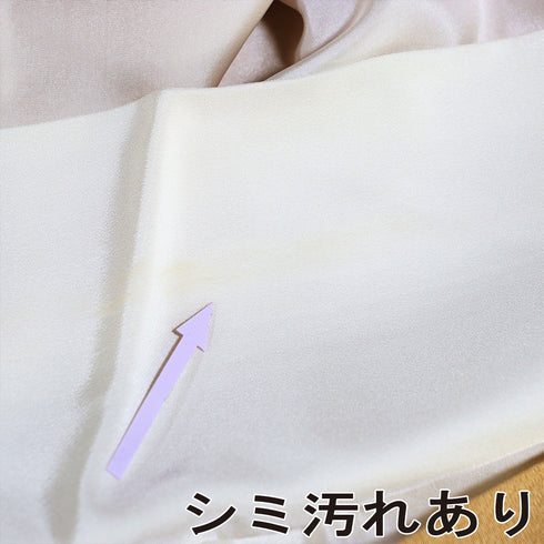 色留袖 リサイクル 身丈161.5cm 裄65.6cm 袷 本金箔 雲上花の宴 金駒刺繍 パールトーン加工済 ベージュ Lサイズ 落款 三つ紋 正絹 広衿 Aランク